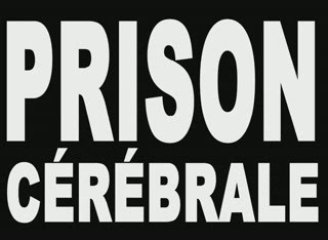 Vimeo Prison mentale